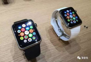 梦见买苹果苹果手表有什么功能介绍(梦见买了苹果手表)