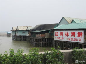 广州市番禺海鸥岛自助游攻略旅游攻略 驼铃户外 