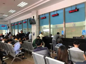 注意啦 今起至11月底,松江交警支队违法处理窗口受理时间有变化