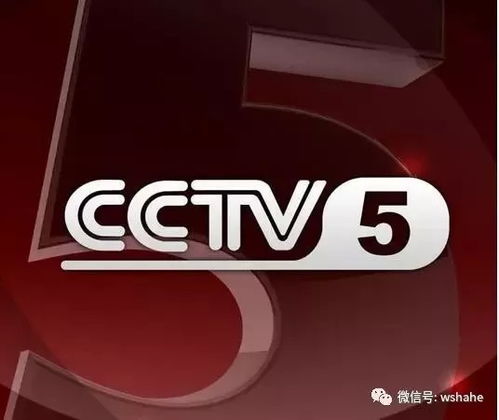 沙河赛事 中央五 CCTV 5 现场直播