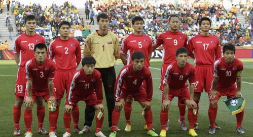 弱旅进军世界杯 2010年南非世界杯的朝鲜 一
