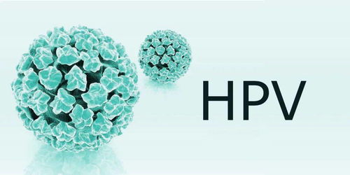 感染HPV病毒就等于患上宫颈癌吗