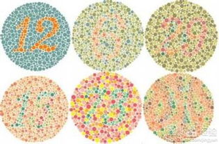7种颜色分得清为啥还是色盲(能分清颜色为什么是色盲)