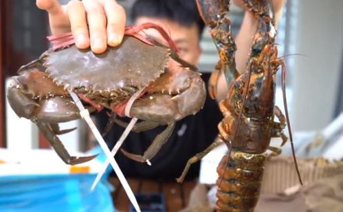 吃了二十年的海鲜,你知道一样重的螃蟹跟虾,谁的肉比较多吗