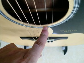 懂吉他的朋友帮帮忙,微博和贴吧到处看,看到一个叫Tania塔尼亚的吉他,目前看中了T650,这吉他怎么样 
