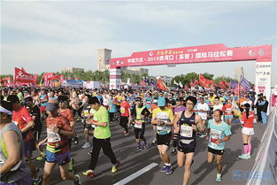 2019黄河口 东营 国际马拉松赛4月20日鸣枪开赛