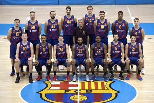 欧洲篮球联赛之巴塞罗那 西班牙篮球巨人 志在称雄欧罗巴