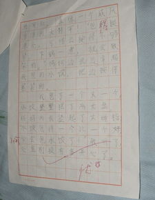 我学会了包饺子300字作(我学会了包饺子的作文400个字)