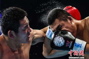 中国拳王争霸赛新星王港爆冷摘64公斤级拳王