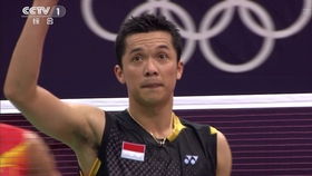 2008年北京奥运会 羽毛球男单决赛 林丹2 0李宗伟 全场回放