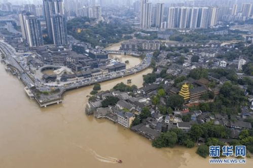 多图直击重庆洪峰过境最新动态,本轮洪水何时迎来最高水位