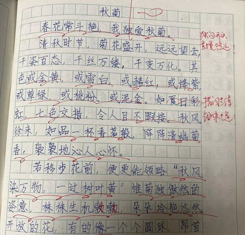 中国变化作文200字(变化作文200字三年级)