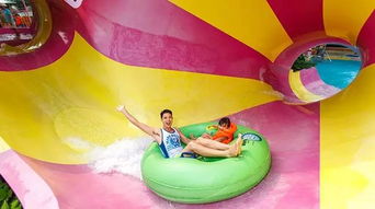 广州长隆水上乐园 380 1大1小水上乐园全日场 多种玩水项目,满足全家人的玩水体验,马上启动您的玩水模式吧