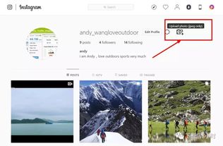 Instagram图片和视频如何下载 推荐常用的10款免费工具