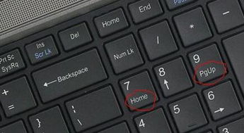 笔记本电脑的home键是哪个键 