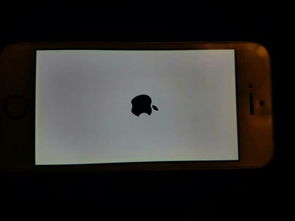 iphone5s系统更新突然黑屏 长按开机键后又苹果标志 然后屏幕继续黑屏 一直如此 求大神帮忙 