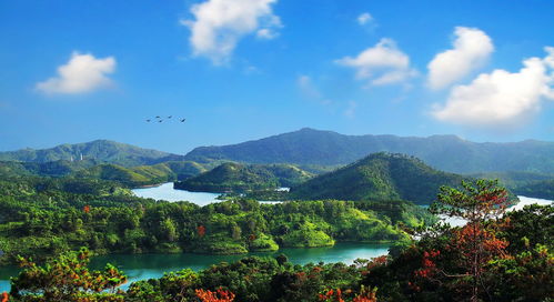 最受期待旅游目的地评选 惠州推荐5个景点,你有没去过