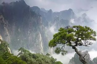 厉害了 中国最美的40个景点,无锡这里上榜 
