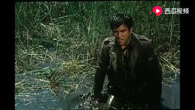 南斯拉夫战争片 锦绣山河一把火 是一部尖锐又幽默的反战影片