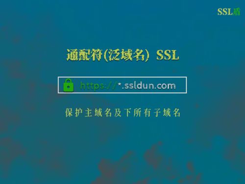 企业通配符泛域名SSL证书选择哪个 除了OV型,能不能选择DV型