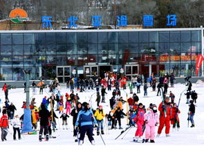 东北亚滑雪场1日游 激情滑雪