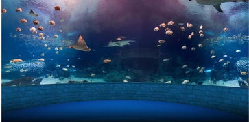 总投资1.2亿元 海洋生物500余种 菏泽首家海洋馆正式开放 六一 就带孩子来这里 