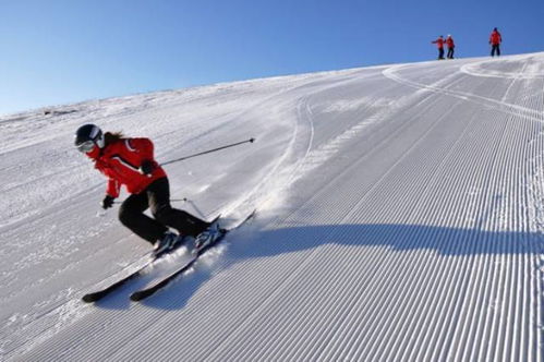国内必去十大滑雪场滑雪瑞士可以一年四季都滑雪吗(瑞士滑雪去哪个城市)