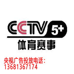 体育频道直播(体育频道直播cctv5)