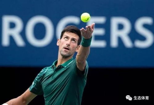 2020最新男子网球大满贯冠军排行