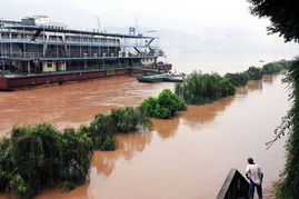 洪峰通过重庆主城 现20年来最高水位 