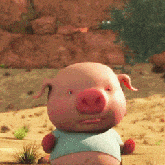 猪的动态表情包gif(猪的动态图片卡通可爱)