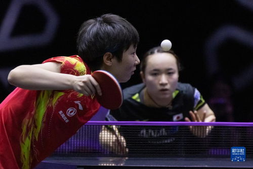 乒乓球 WTT冠军赛布达佩斯站 王曼昱晋级女单四强