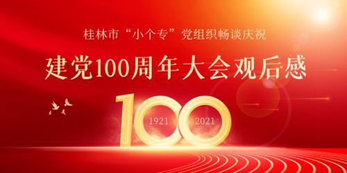 桂林市 小个专 党组织畅谈庆祝建党100周年大会观后感