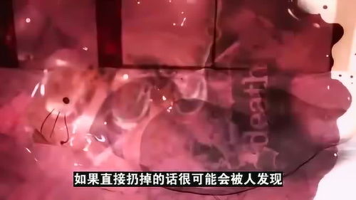 香港著名的Hello Kitty藏尸案 