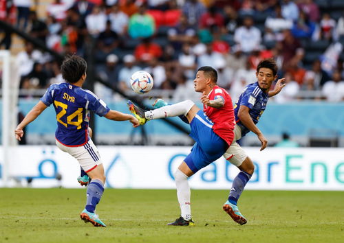 卡塔尔世界杯 足球 E组 日本对阵哥斯达黎加