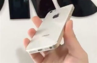 苹果SE二代真机曝光 跟现款iPhone SE没区别