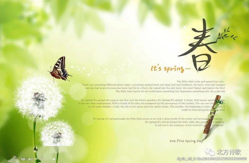 写在春天的诗︱北方诗歌春节特辑
