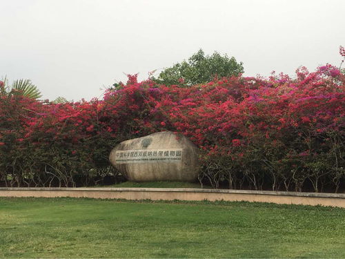 蓬莱阁旅游景点大全介绍天津西青热带植物园门票的简单介绍