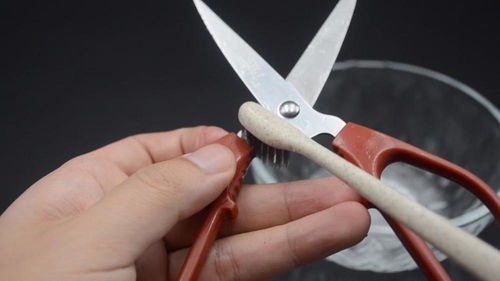 无论剪刀变得多钝多锈,一个简单的方法,立马锋利如新刀,省钱了