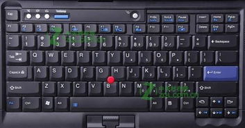 我的thinkpad 键盘字母全变成快捷键,谁知道是怎么回事