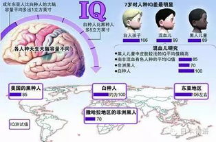 全球智商分布图 中国人与日本人智商最高