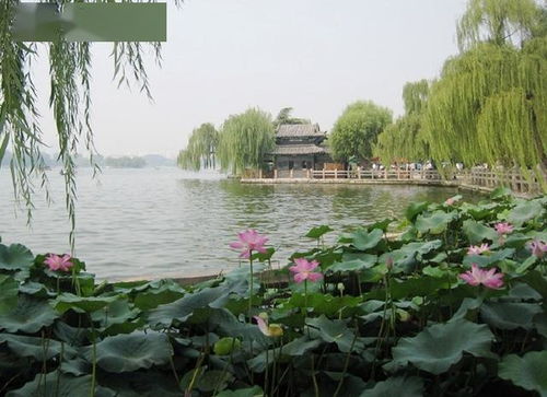 济南的大明湖