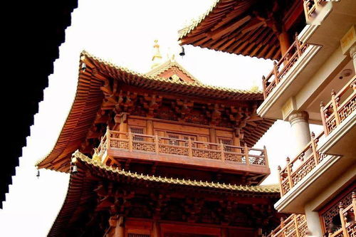 中国最贵的寺庙曝光 全黄金打造,价值28亿 最神奇的是竟然建在市中心
