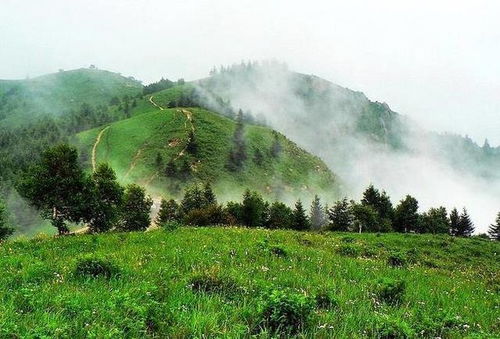 国家森林公园五岳寨自然风景区