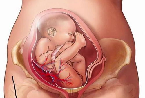 关于孕晚期最准生女宝症状的信息