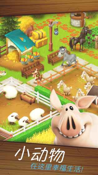 卡通农场手游下载 卡通农场Hay Day游戏免费下载安卓版 系统家园 