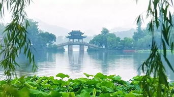 杭州最适合一日游的50个免费景点 够你任性玩一整年 