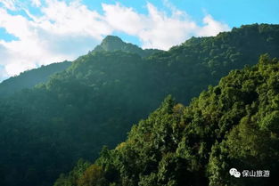 云南游客体验满意度调查表丨关于保山旅游景区,我想说...