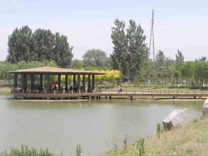 淇河湿地公园