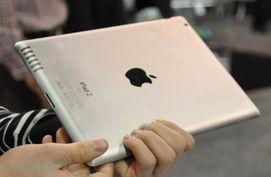 苹果iPad2模型机高清图赏 